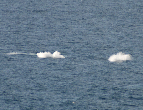 image 31.jpg image