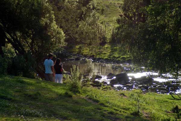 image 38.jpg image
