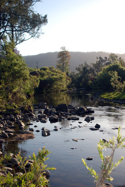 image 39.jpg image
