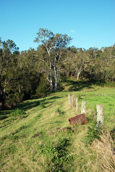 image 40.jpg image