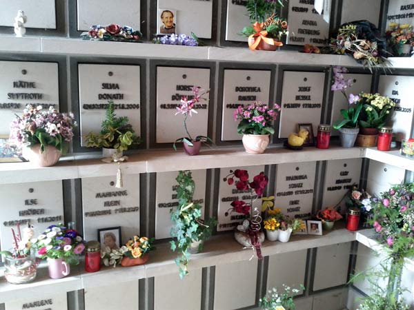 image 10.jpg image