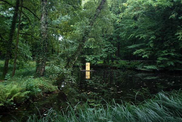 image 11.jpg image