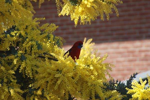image 12.jpg image