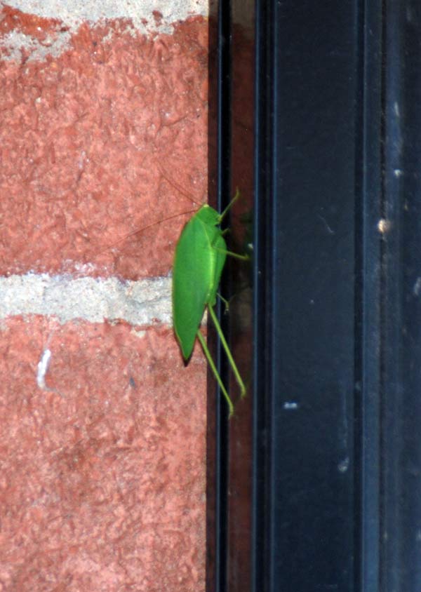image 13.jpg image
