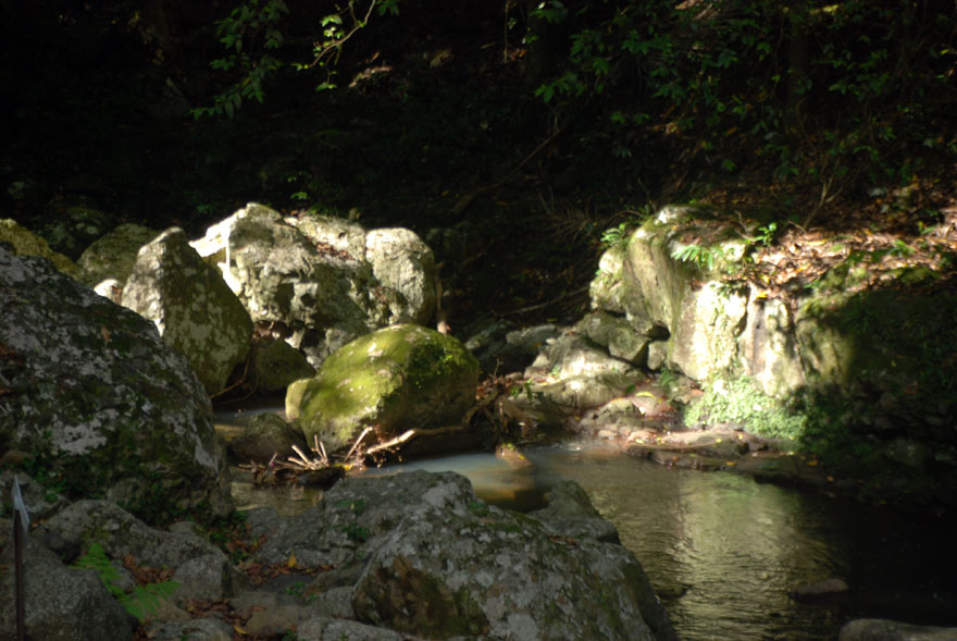 image 12.jpg image
