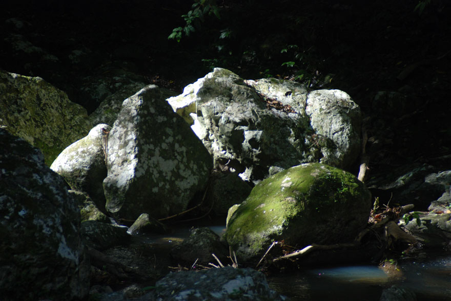 image 13.jpg image