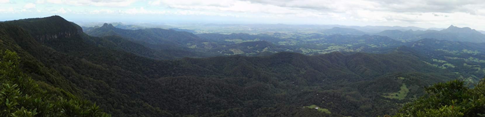 image 14.jpg image
