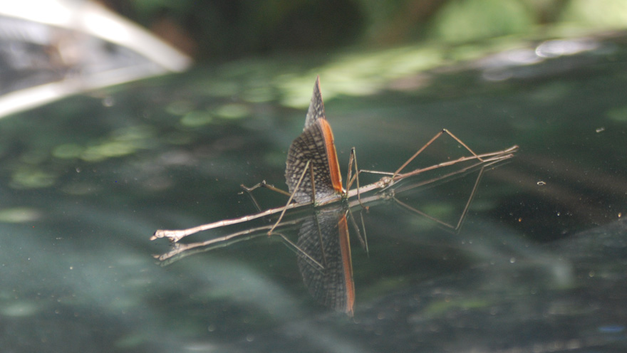 image 16.jpg image