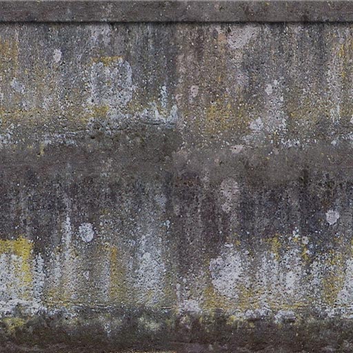 image 12.jpg image