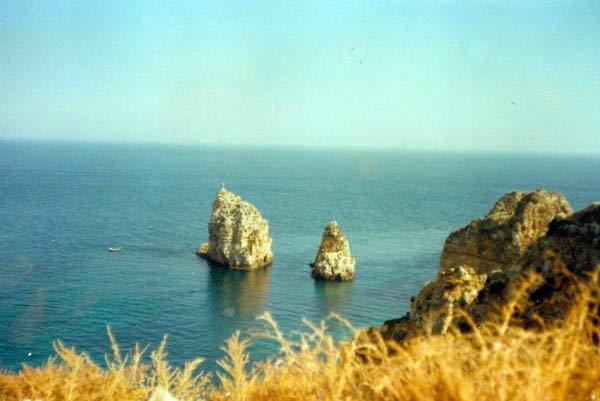 image 15.jpg image