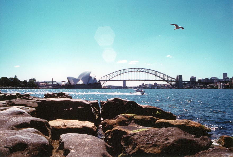 image 07.jpg image