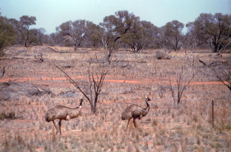 image 01.jpg image
