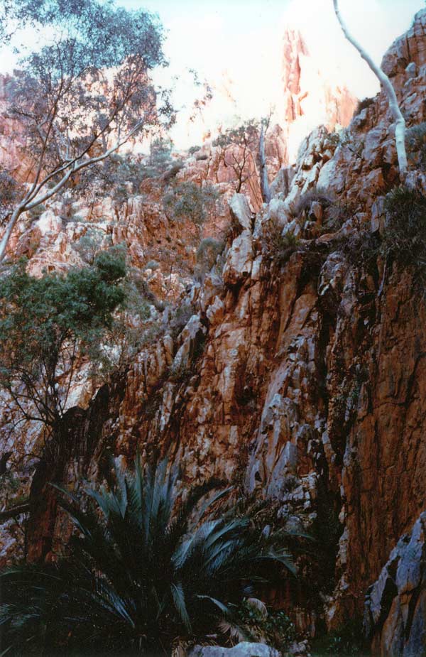 image 08.jpg image