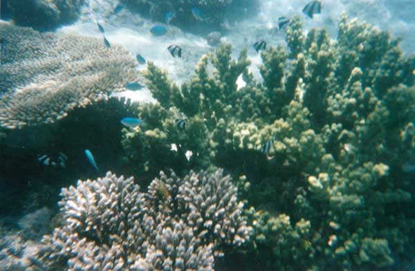 image 06.jpg image