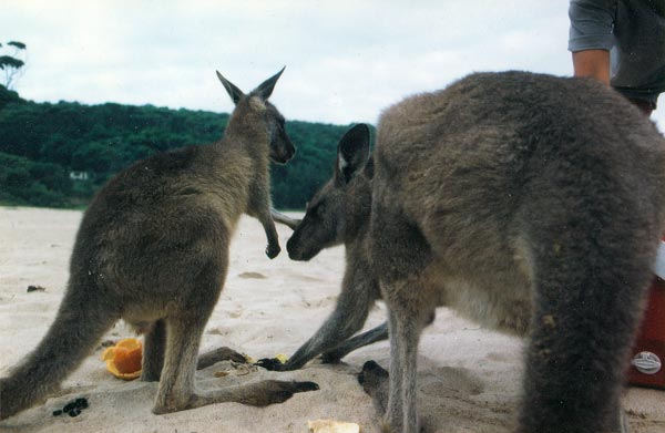 image 03.jpg image