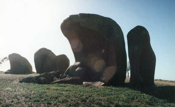 image 04.jpg image