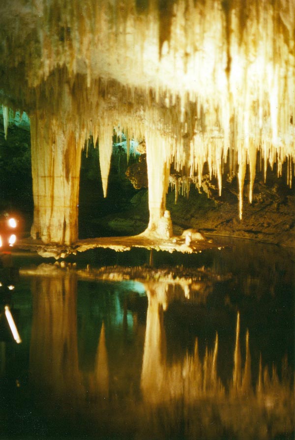 image 12.jpg image