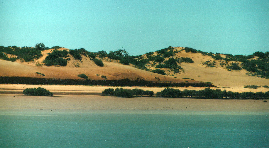 image 01.jpg image
