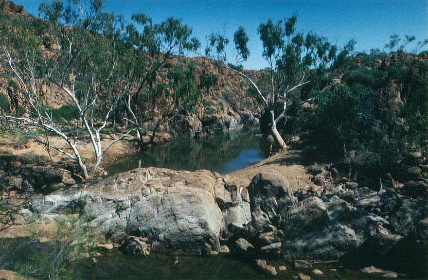 image 07.jpg image