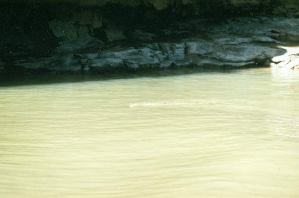 image 03.jpg image