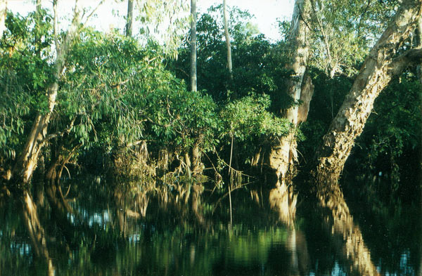 image 12.jpg image