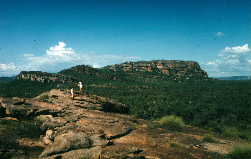image 13.jpg image