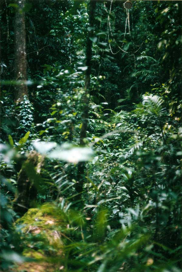 image 04.jpg image