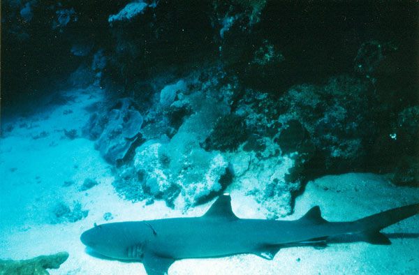 image 07.jpg image