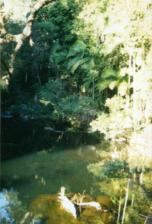 image 11.jpg image