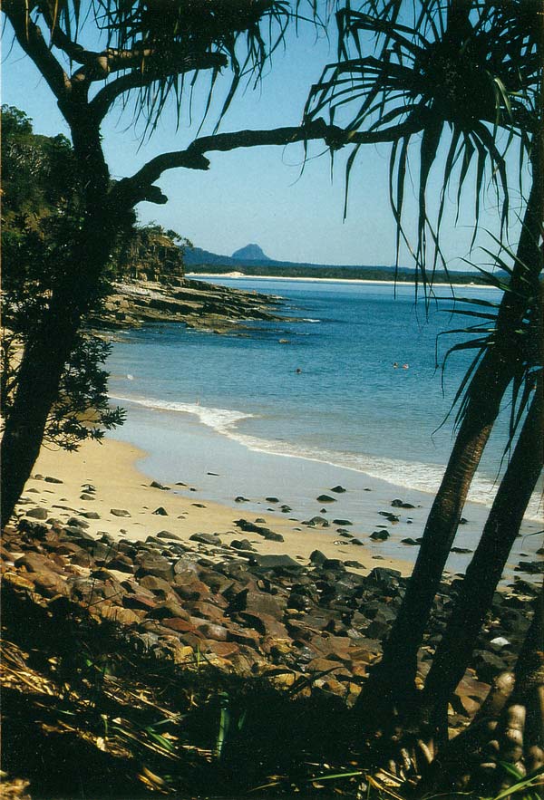 image 14.jpg image
