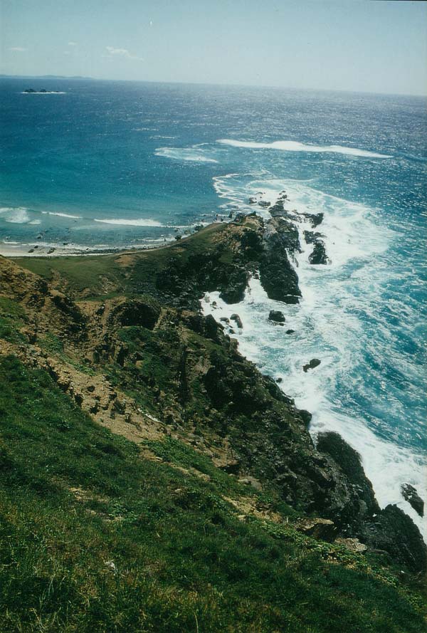 image 15.jpg image