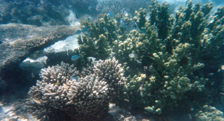 image 02.jpg image