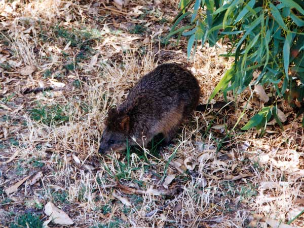 image 06.jpg image