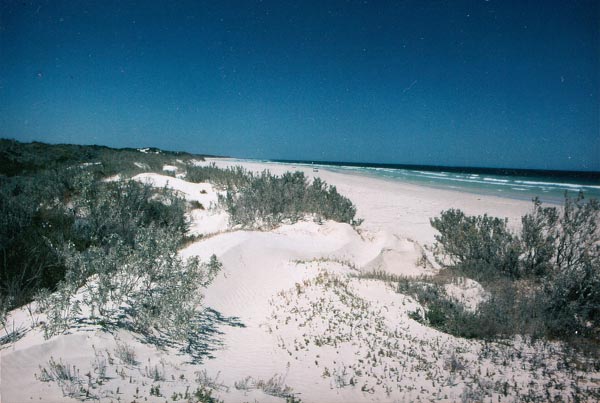 image 02.jpg image
