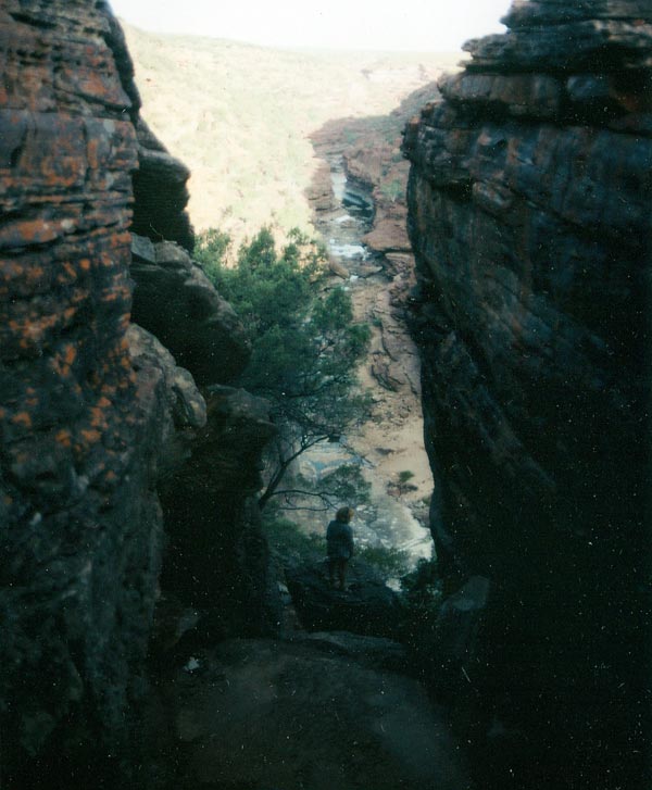 image 04.jpg image