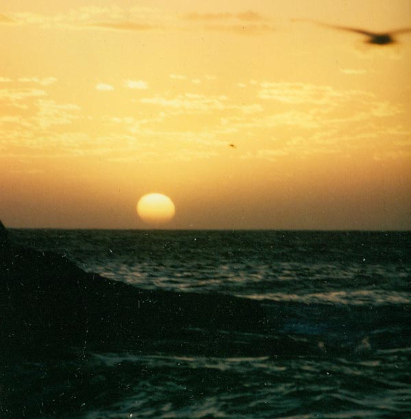 image 07.jpg image