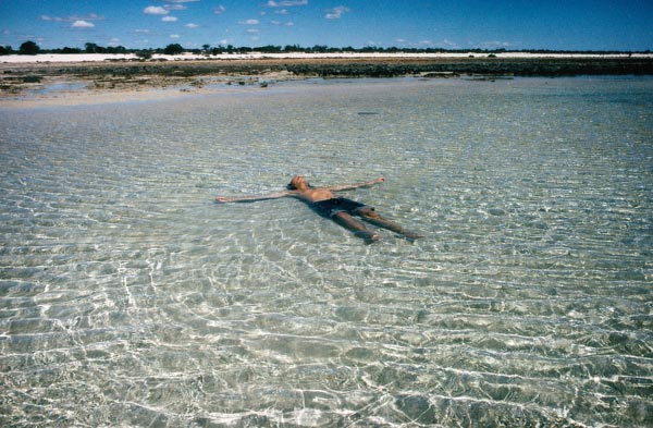 image 11.jpg image