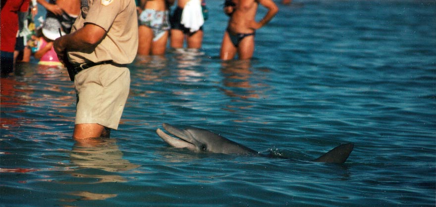 image 12.jpg image