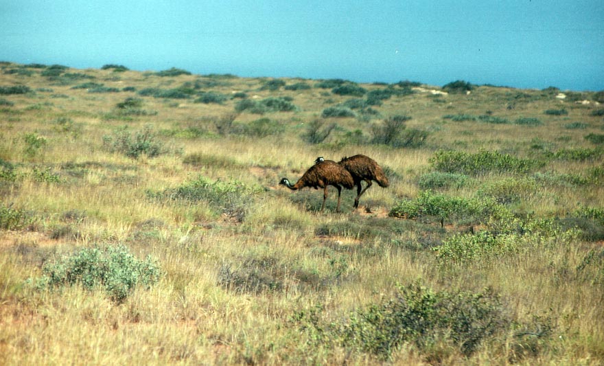image 13.jpg image