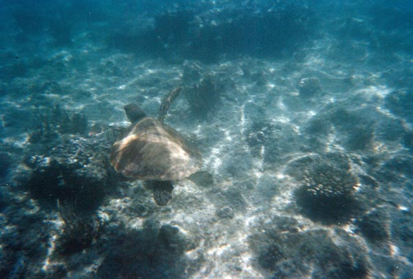 image 15.jpg image