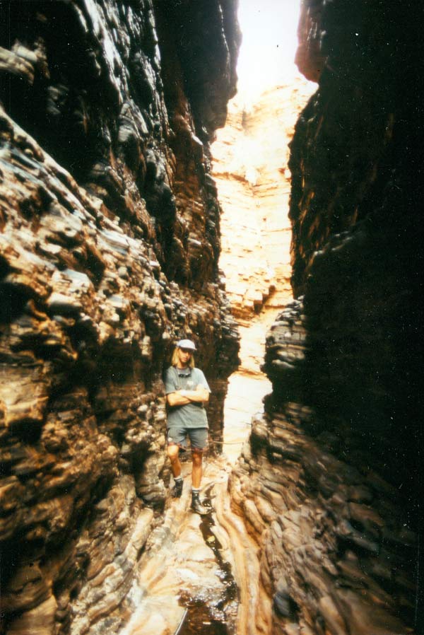 image 12.jpg image