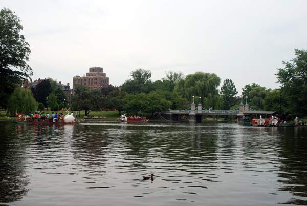 image 05.jpg image