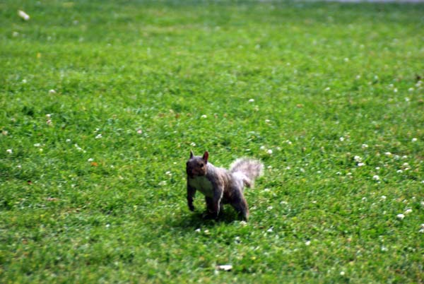 image 15.jpg image