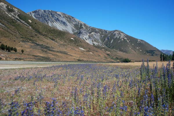 image 02.jpg image