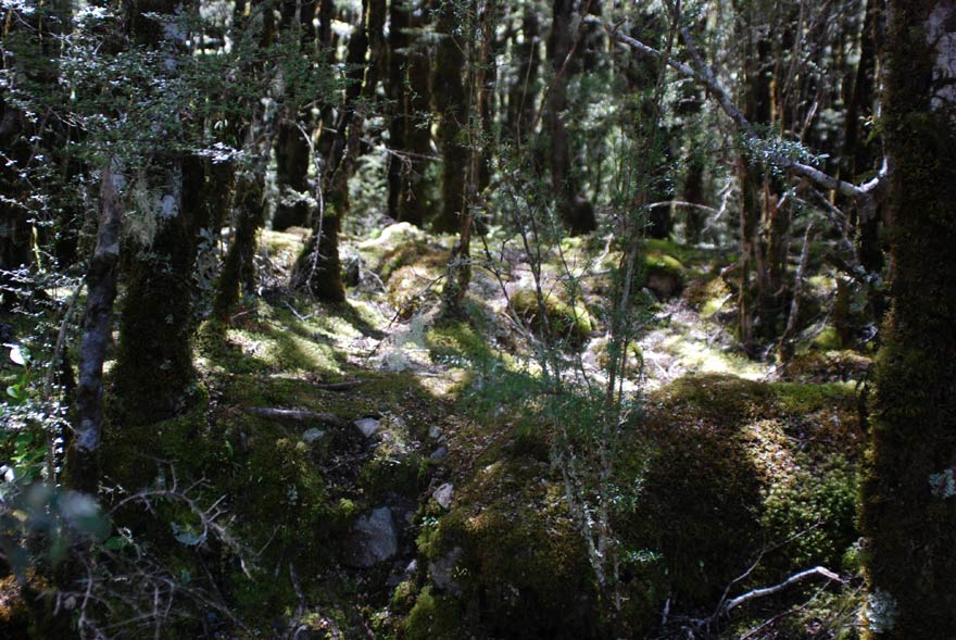 image 12.jpg image
