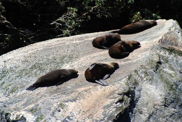 image 10.jpg image