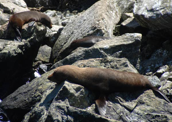 image 11.jpg image